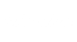 Black and white ski-doo logo